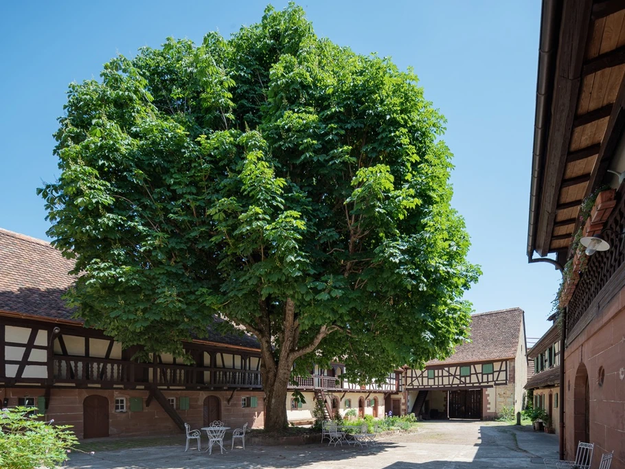 Photo n° 7 de la location