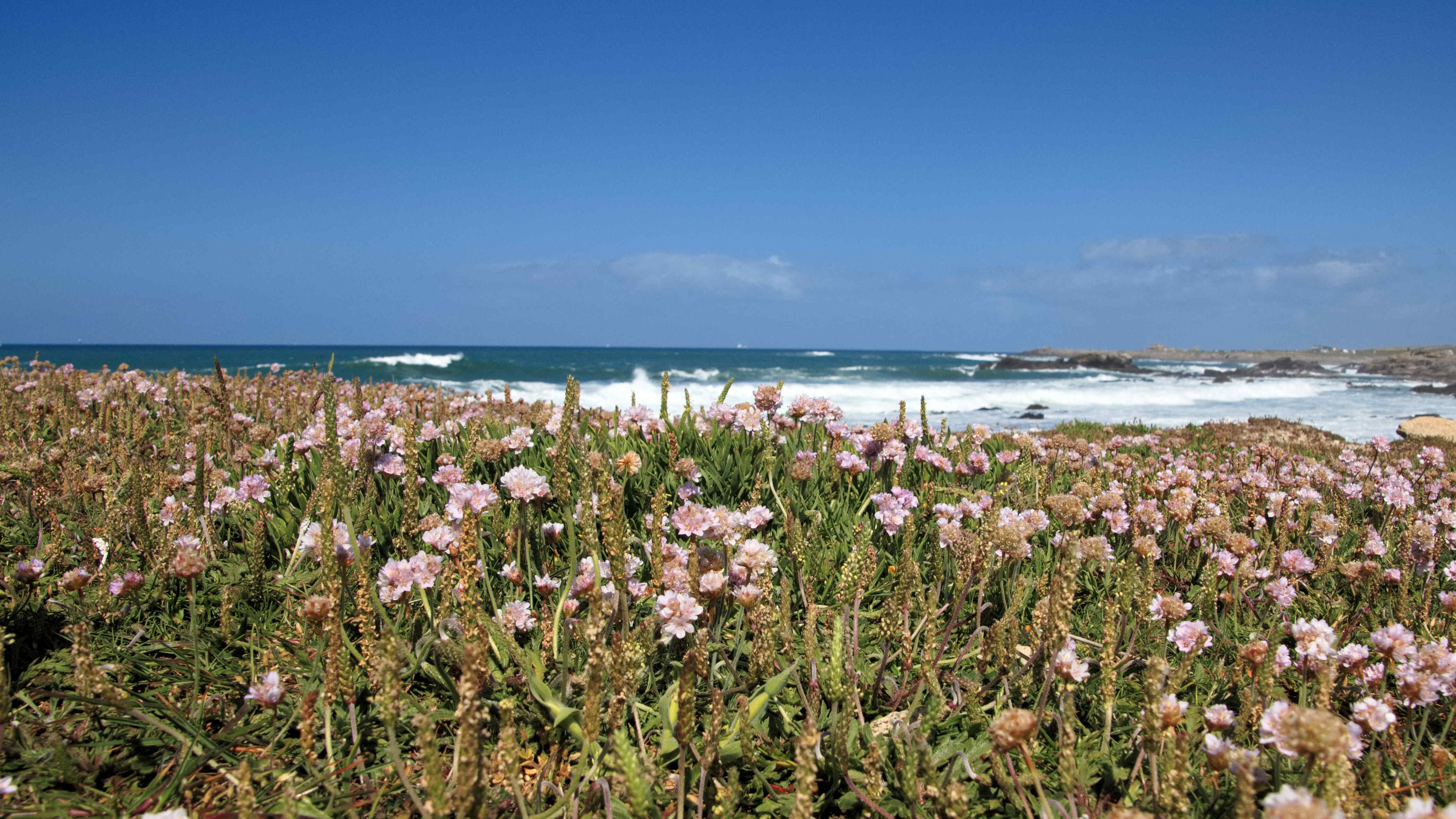 Photo n° 18 de la location