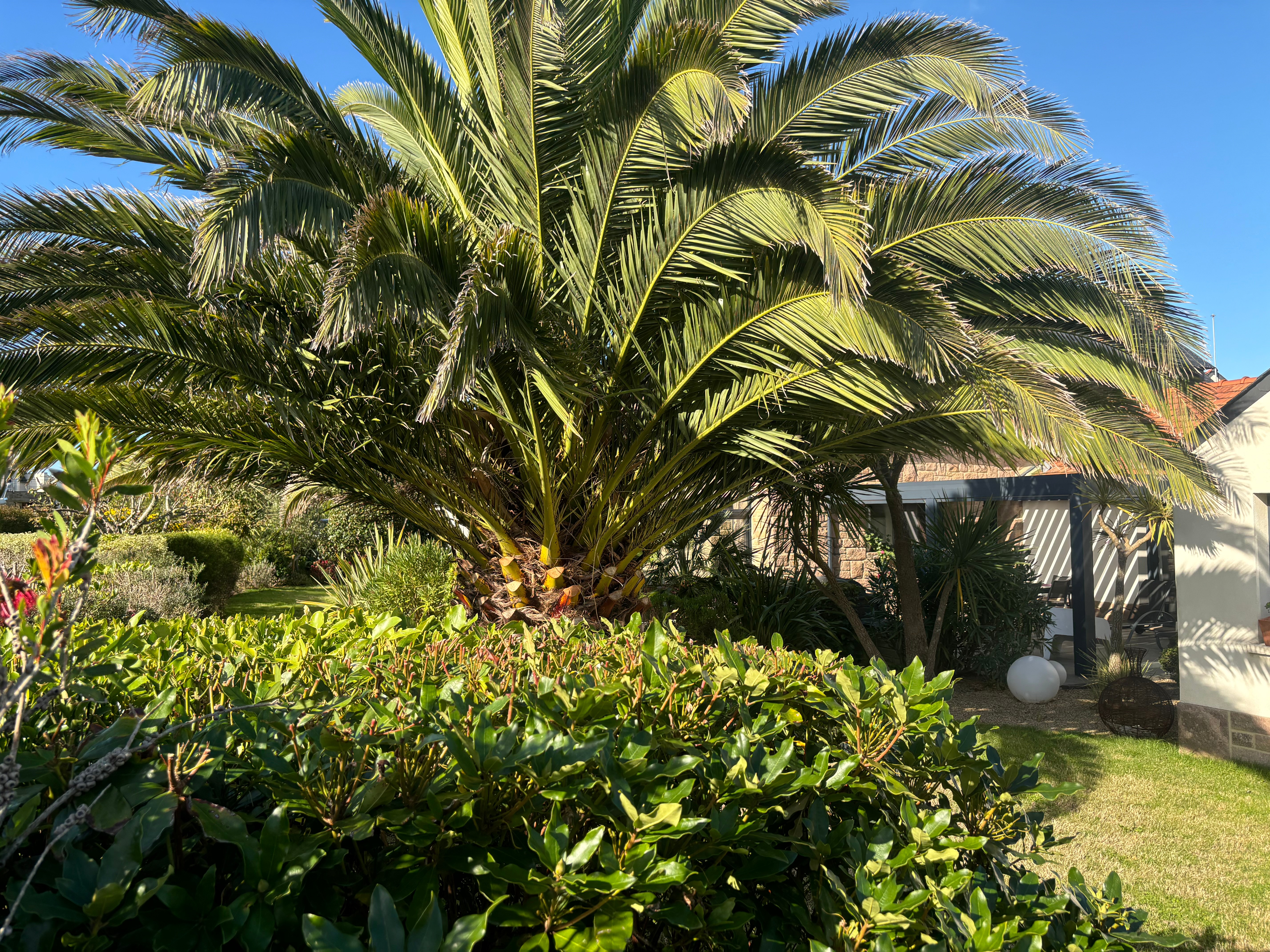 jardin