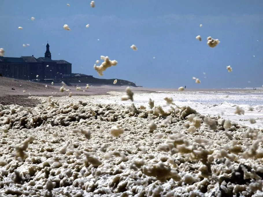 Photo n° 15 of the location