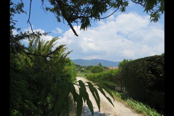 Photo n° 20 of the location