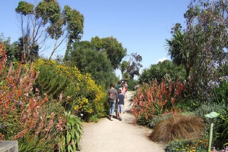 Jardin botanique et exotique de Roscoff