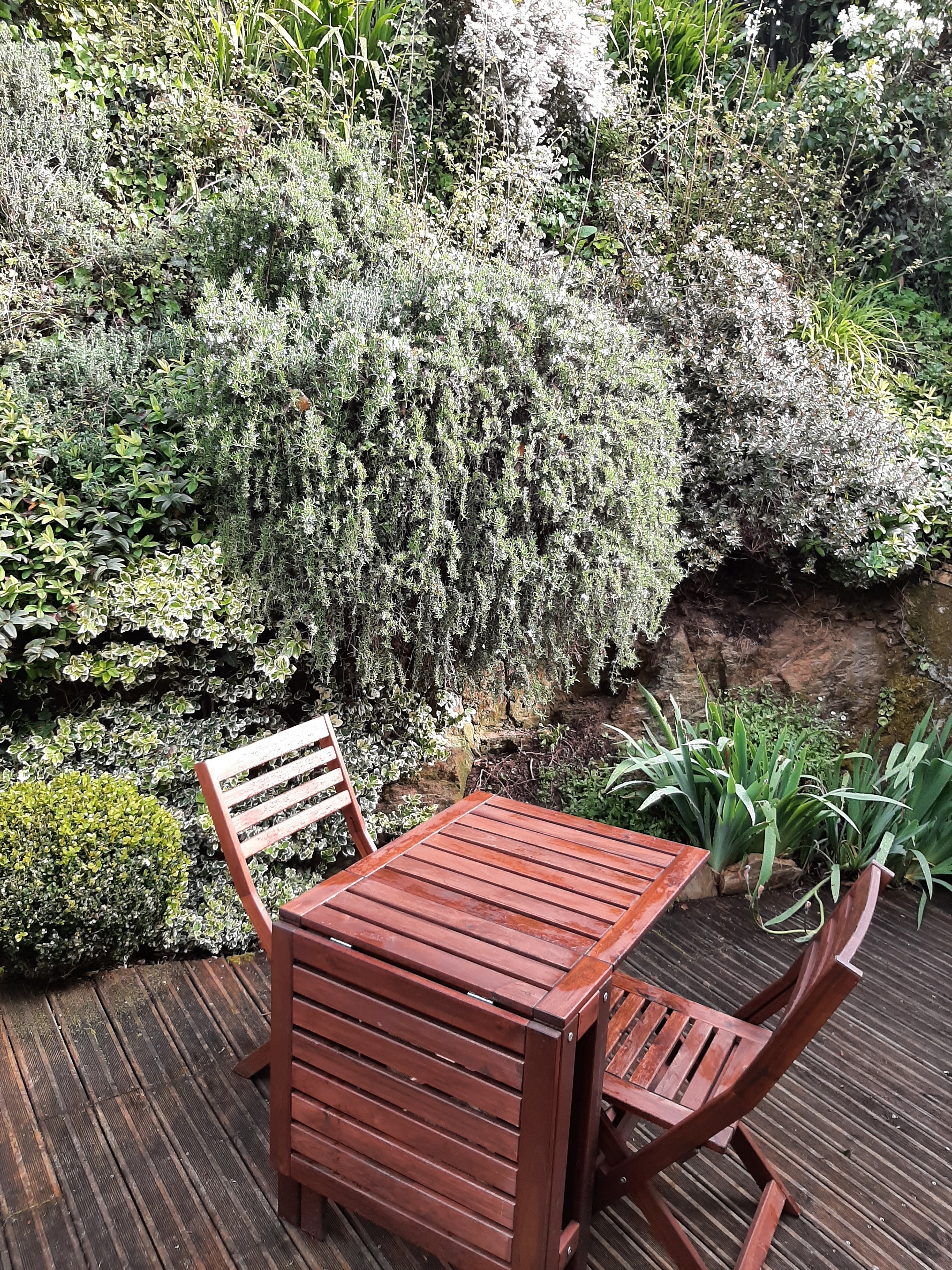 L'autre terrasse à l'ombre