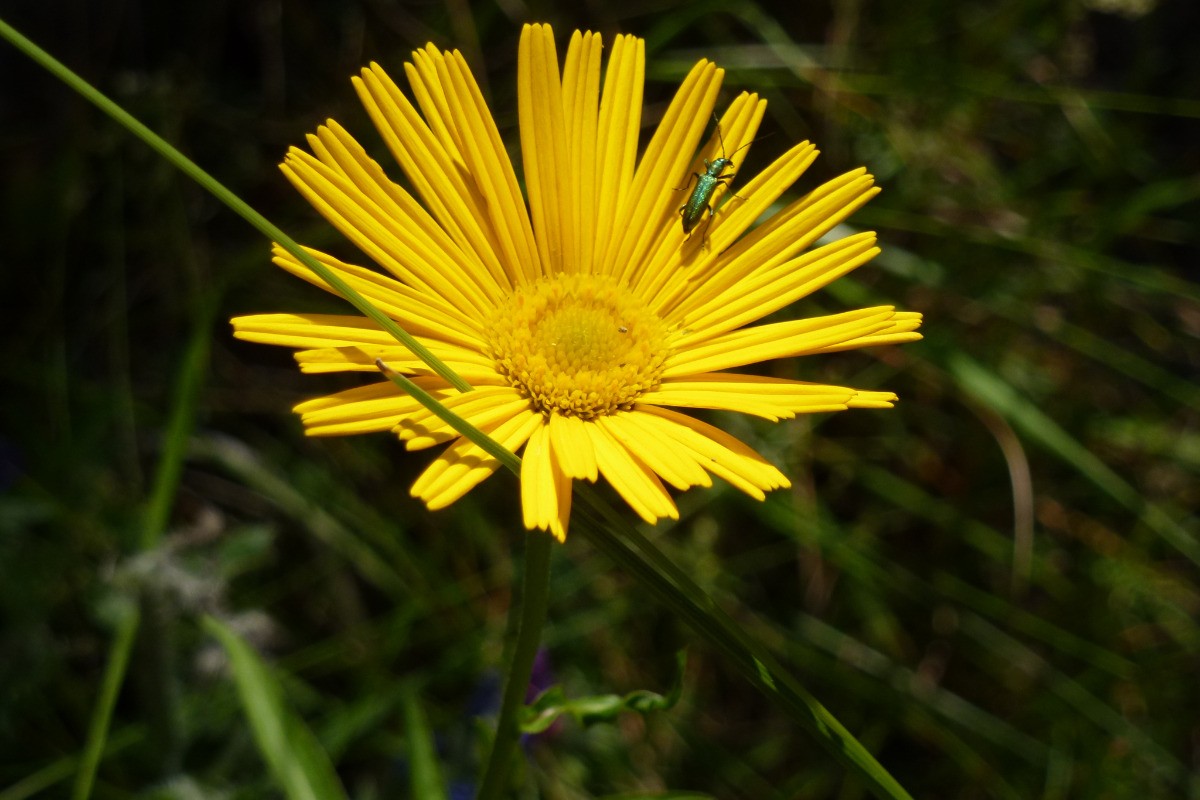 Photo n° 8 de la location