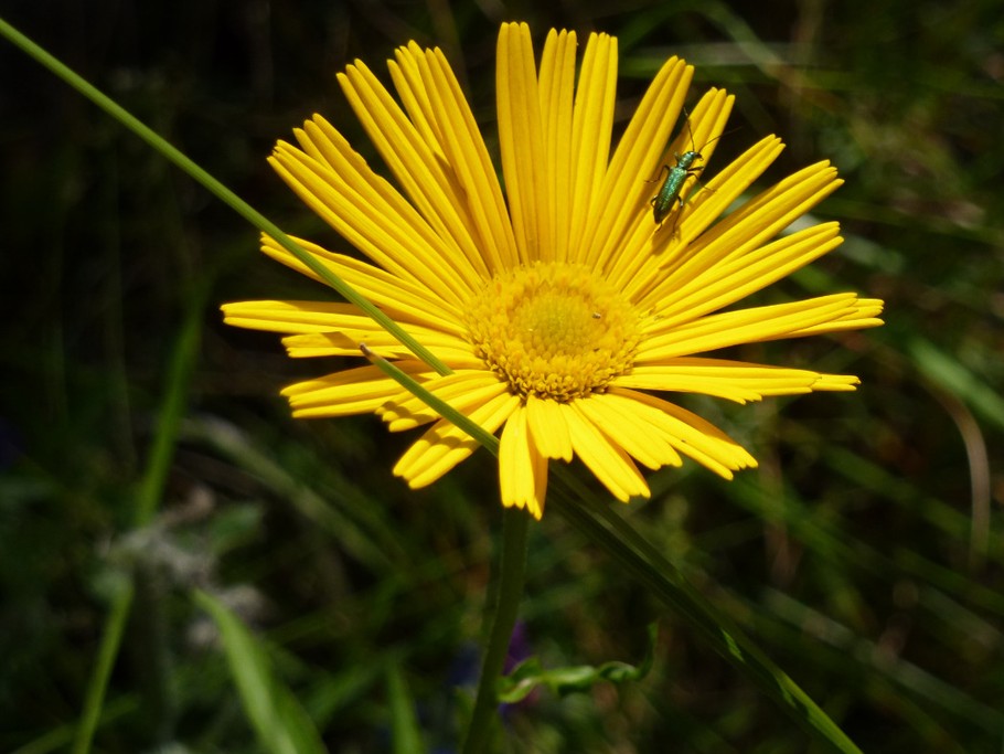 Photo n° 8 de la location