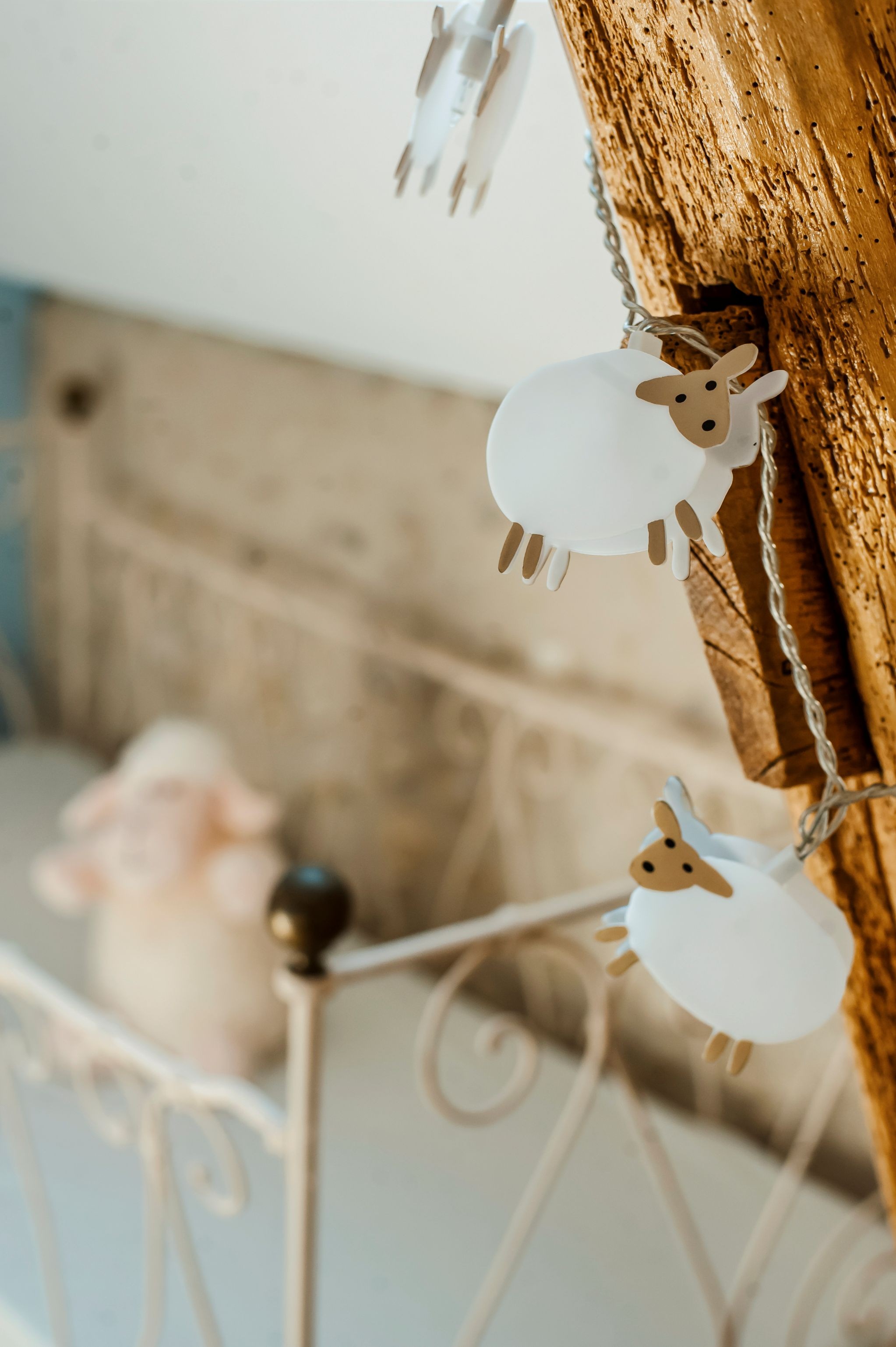 Photo n° 12 de la location