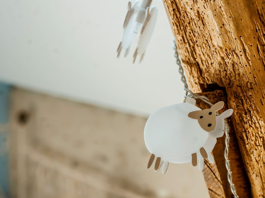 Photo n° 12 de la location