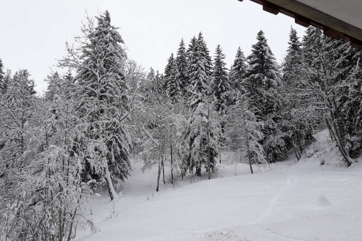 la vue depuis le coin repas