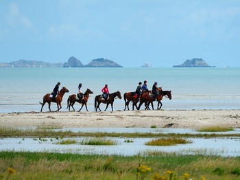 Balade à pied ou à cheval sur la grève, entre Cancale et le Mont Saint-Michel (centre équestre à Saint-Méloir-des-Ondes).
Crédits photo : CRTB LE-GAL-Yannick