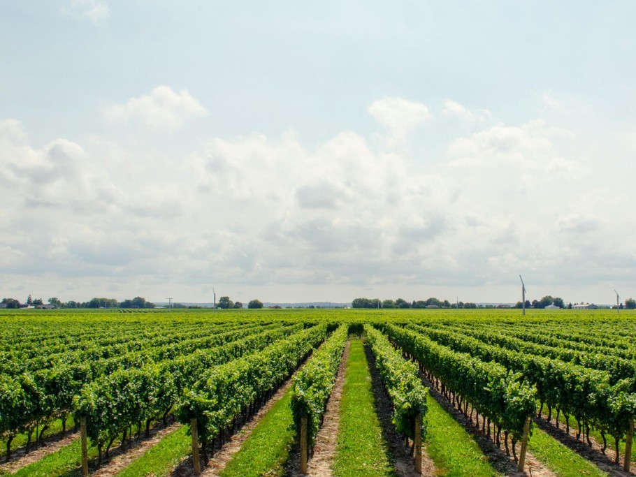 Photo n° 19 of the location