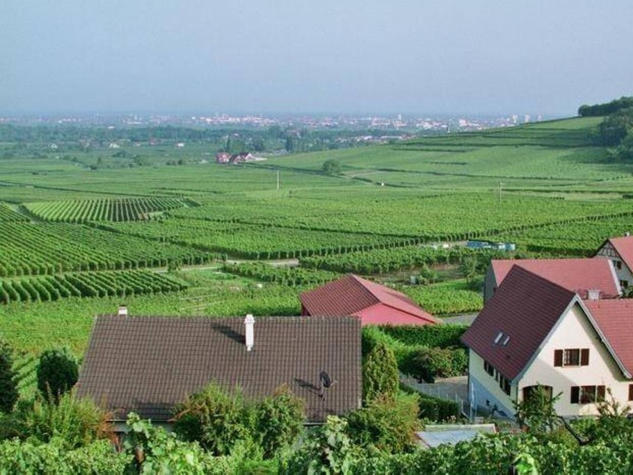 Photo n° 12 of the location