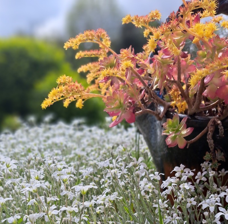 Photo n° 7 de la location