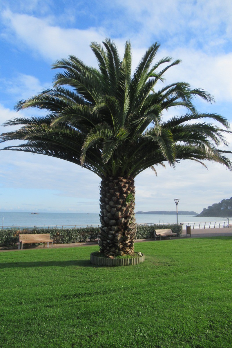 Photo n° 13 of the location