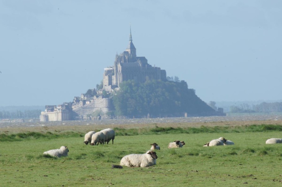 Photo n° 0 of the location