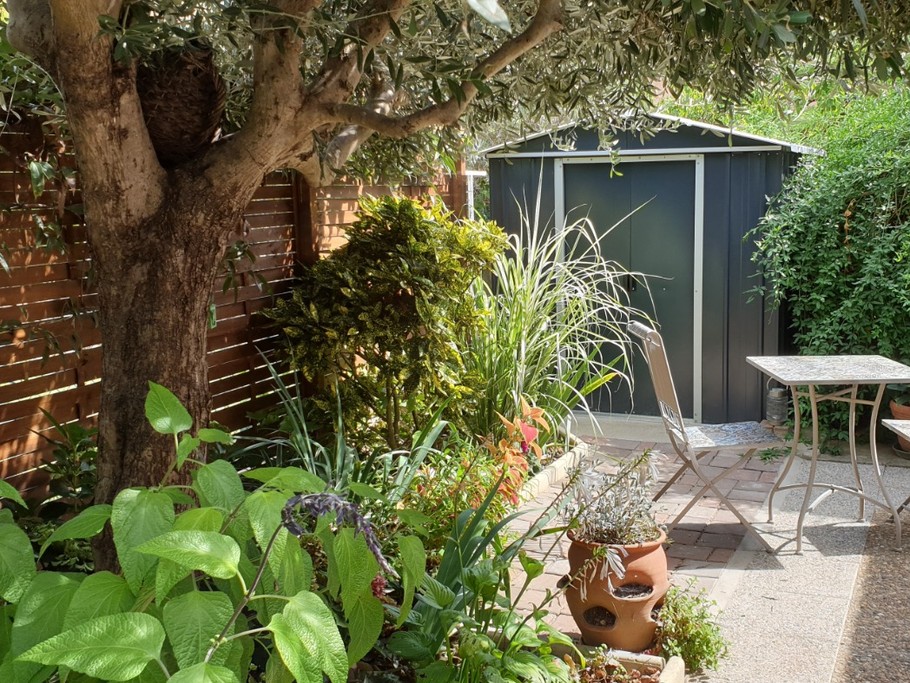 jardin arrière