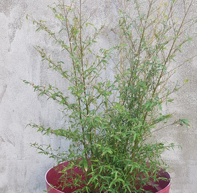 Photo n° 20 of the location