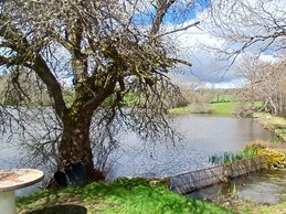 Les Chalets de l'Etang de Farges, Saint Germain près Herment, Puy de Dôme, Auvergne