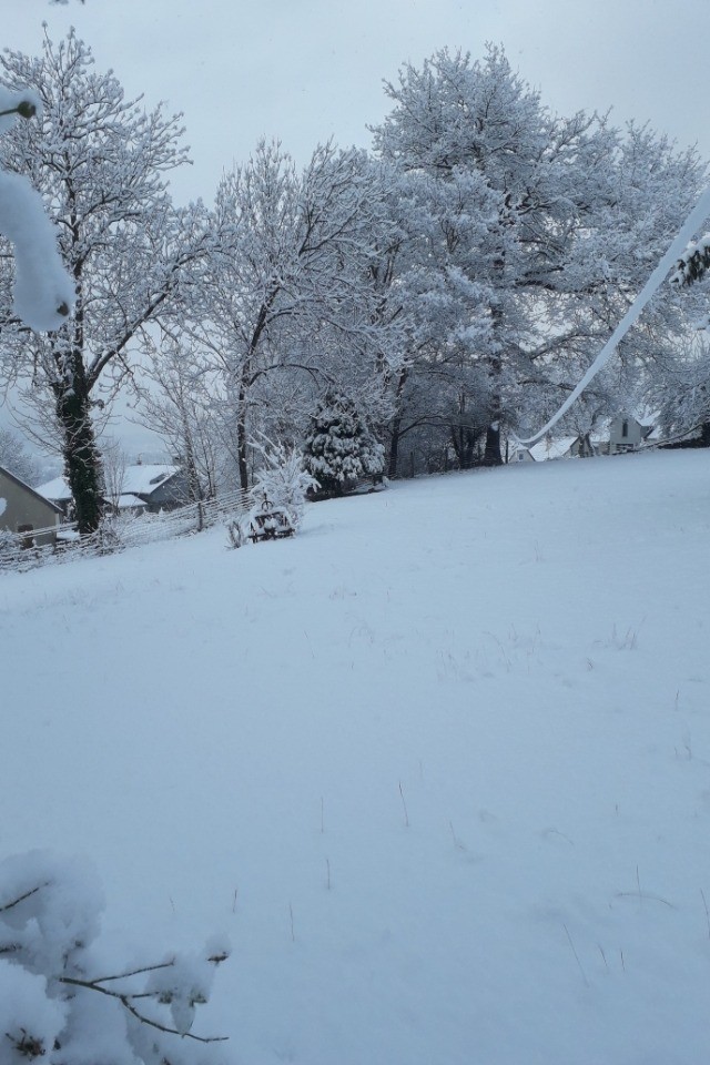Photo n° 14 de la location