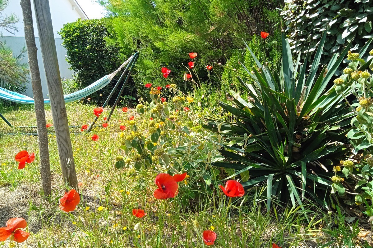 Repos dans le jardin champêtre au printemps
