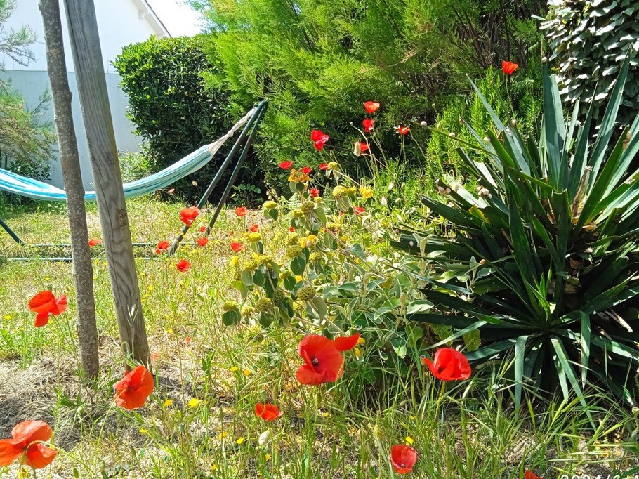 Repos dans le jardin champêtre au printemps
