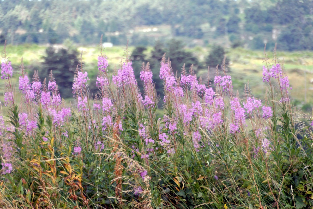 Photo n° 20 of the location