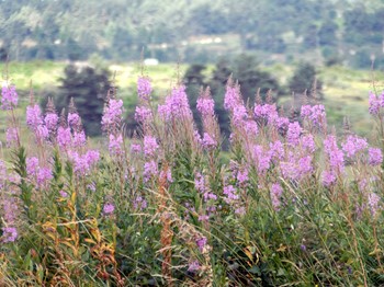 Photo n° 20 of the location