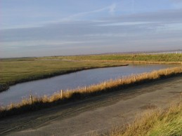 Image n° 2 de la location