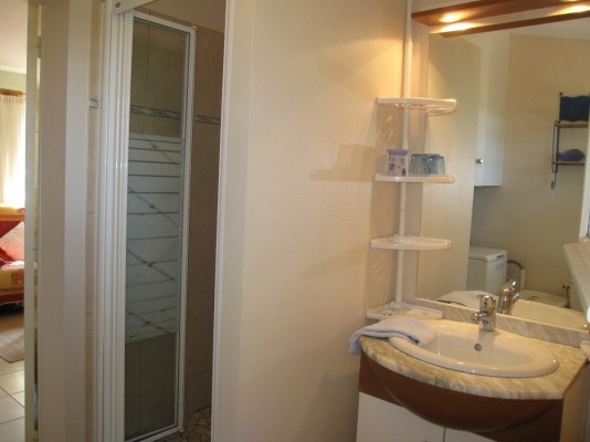 salle d'eau, petite mais complète  - Albi - Tarn -