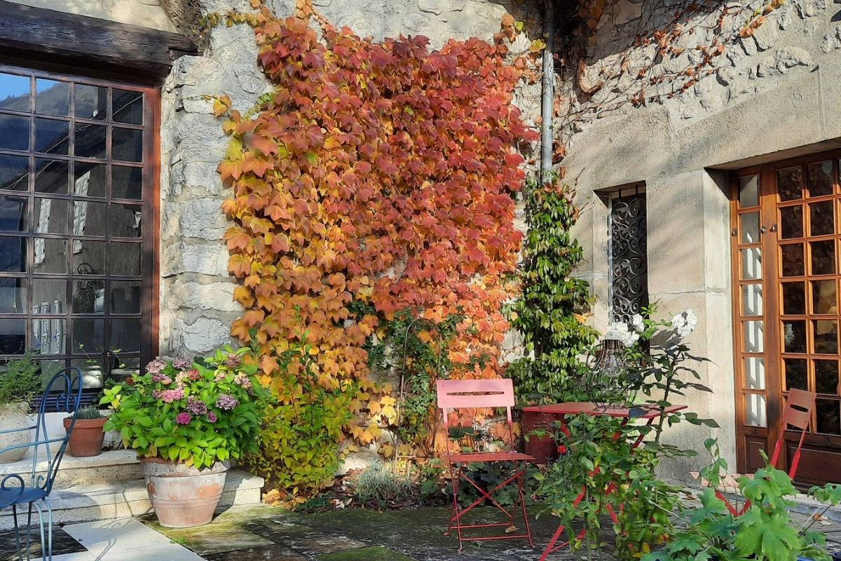 Photo n° 11 de la location