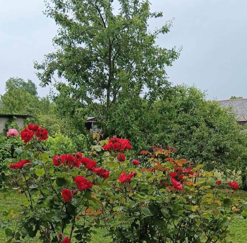 Photo n° 15 of the location