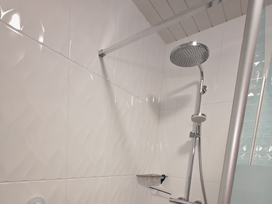 Shower room - shower with grab rail and seat