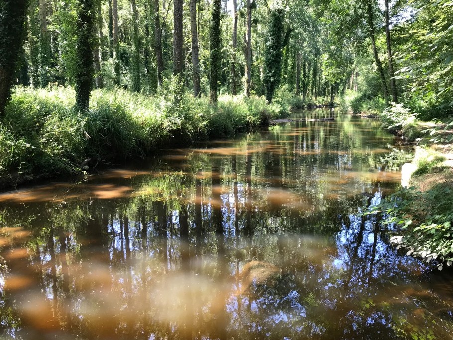 Ballade dans les Chaos du Gouët - Apt. de charme 2 pers, vue mer - Plage des Rosaires à PLERIN - COTES D'ARMOR ( BRETAGNE )