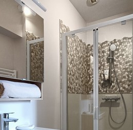 Salle de bain douche + WC