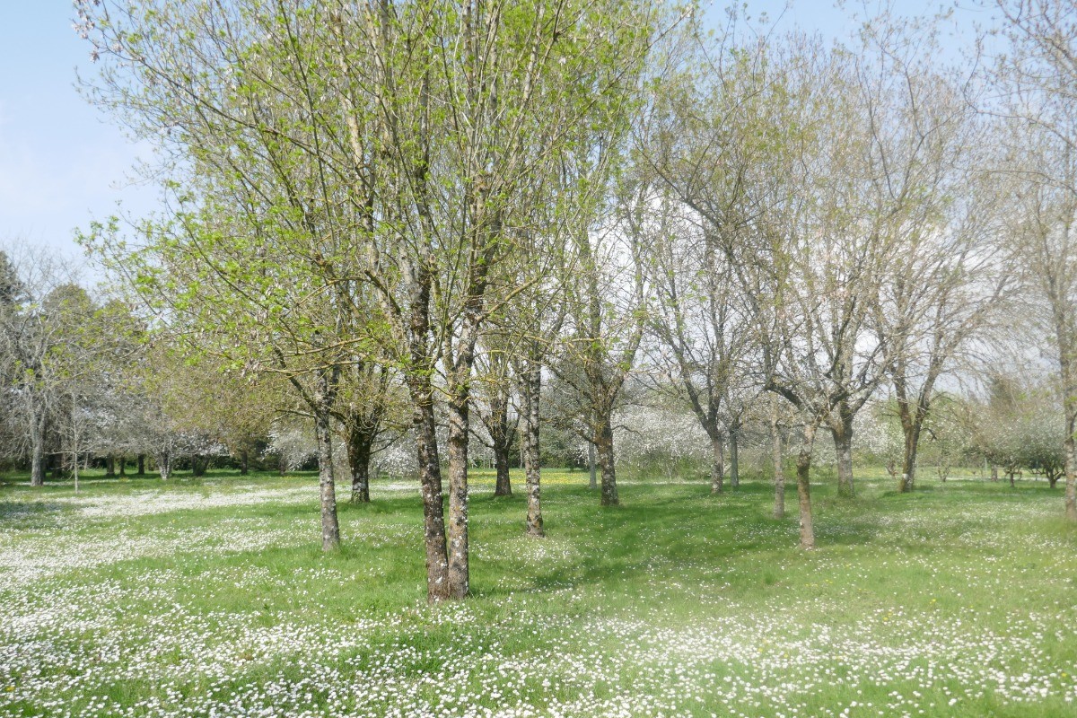 Le parc environnant