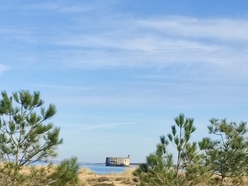 Photo n° 37 of the location