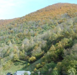 Domaine de l'Artigou en automne