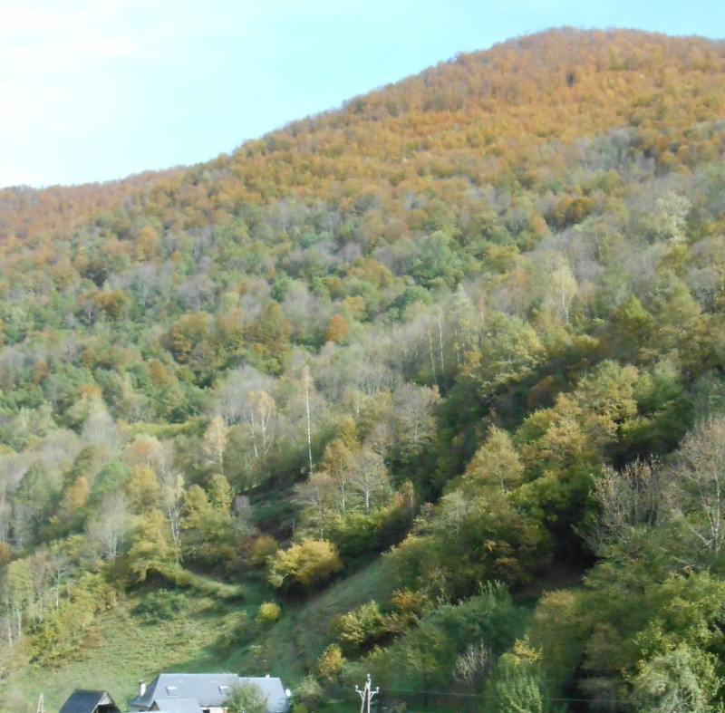 Domaine de l'Artigou en automne