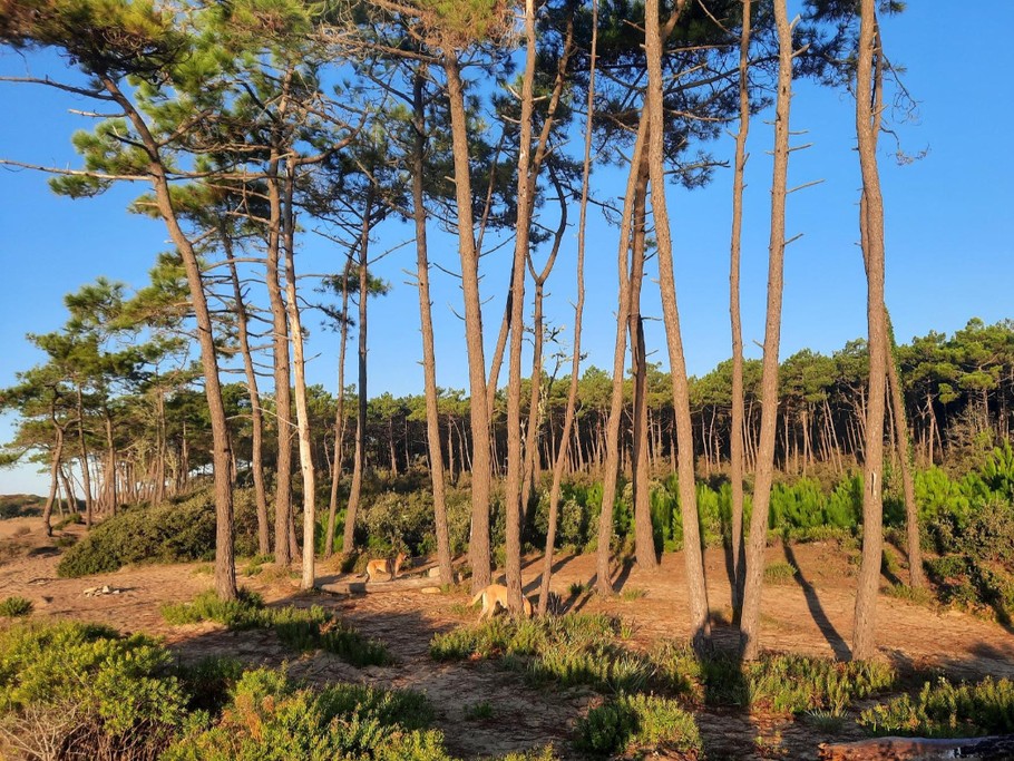 plage du payré