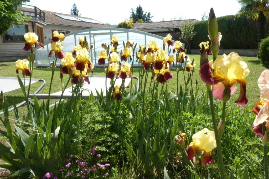 Photo n° 19 of the location