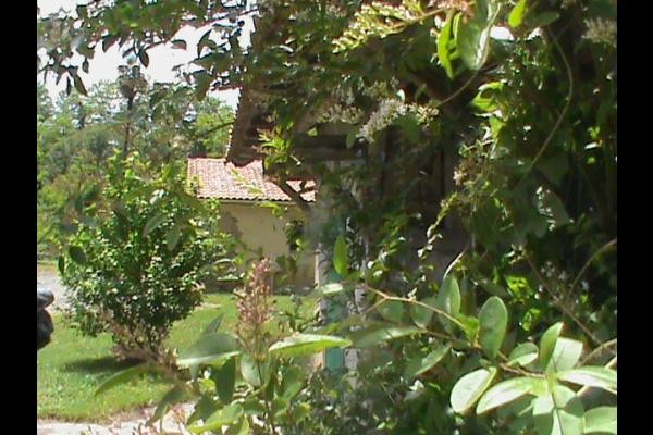 Photo n° 15 de la location