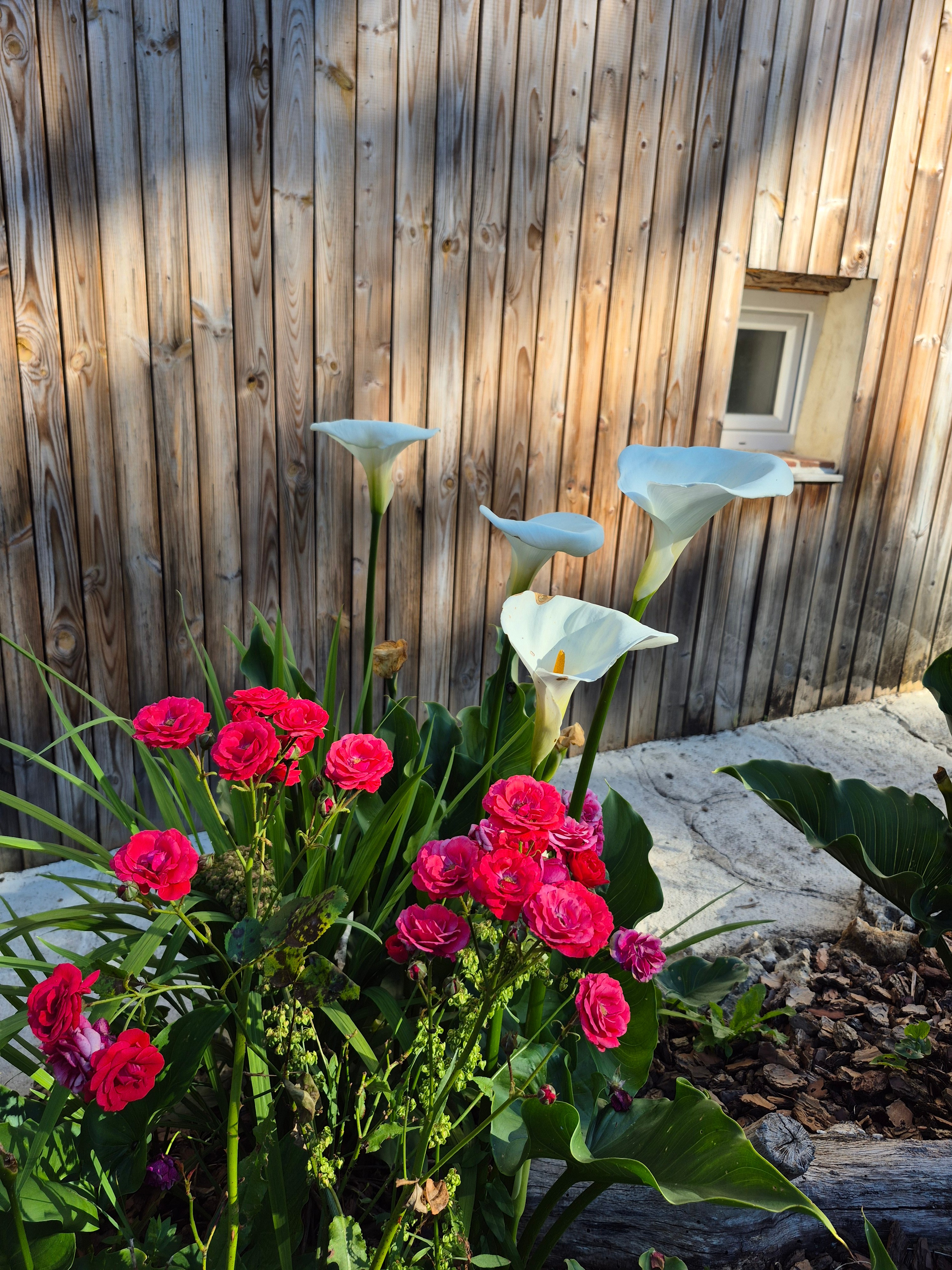 Gite de groupe 12 personnes avec pisicne - Lot-et-Garonne