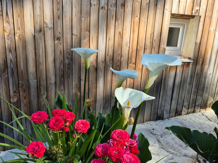 Gite de groupe 12 personnes avec pisicne - Lot-et-Garonne