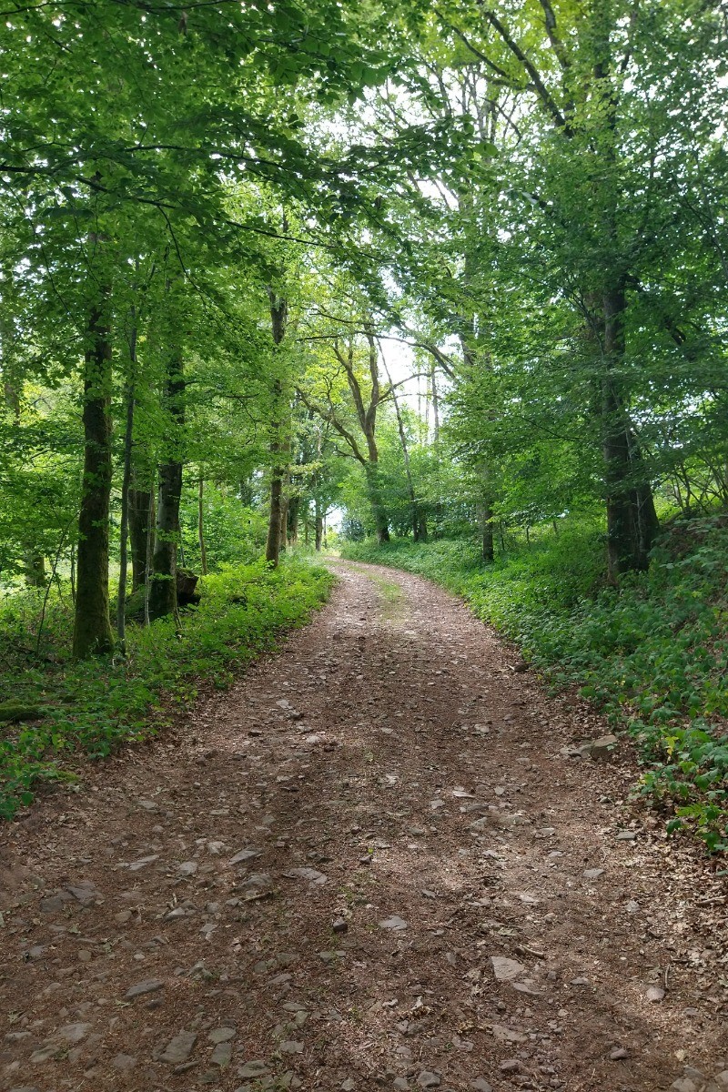 Chemin de randonnée
Gîte des Roches