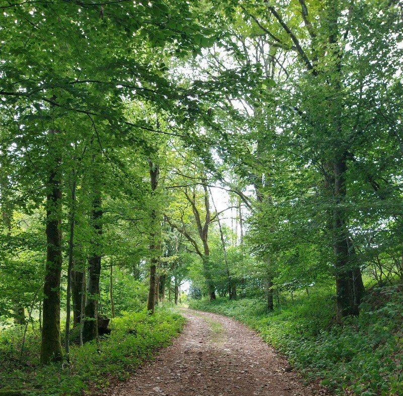 Chemin de randonnée
Gîte des Roches