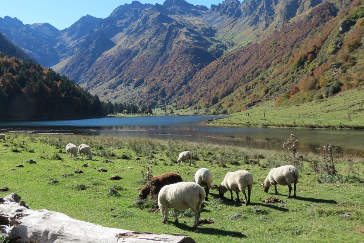 lac d'estaing