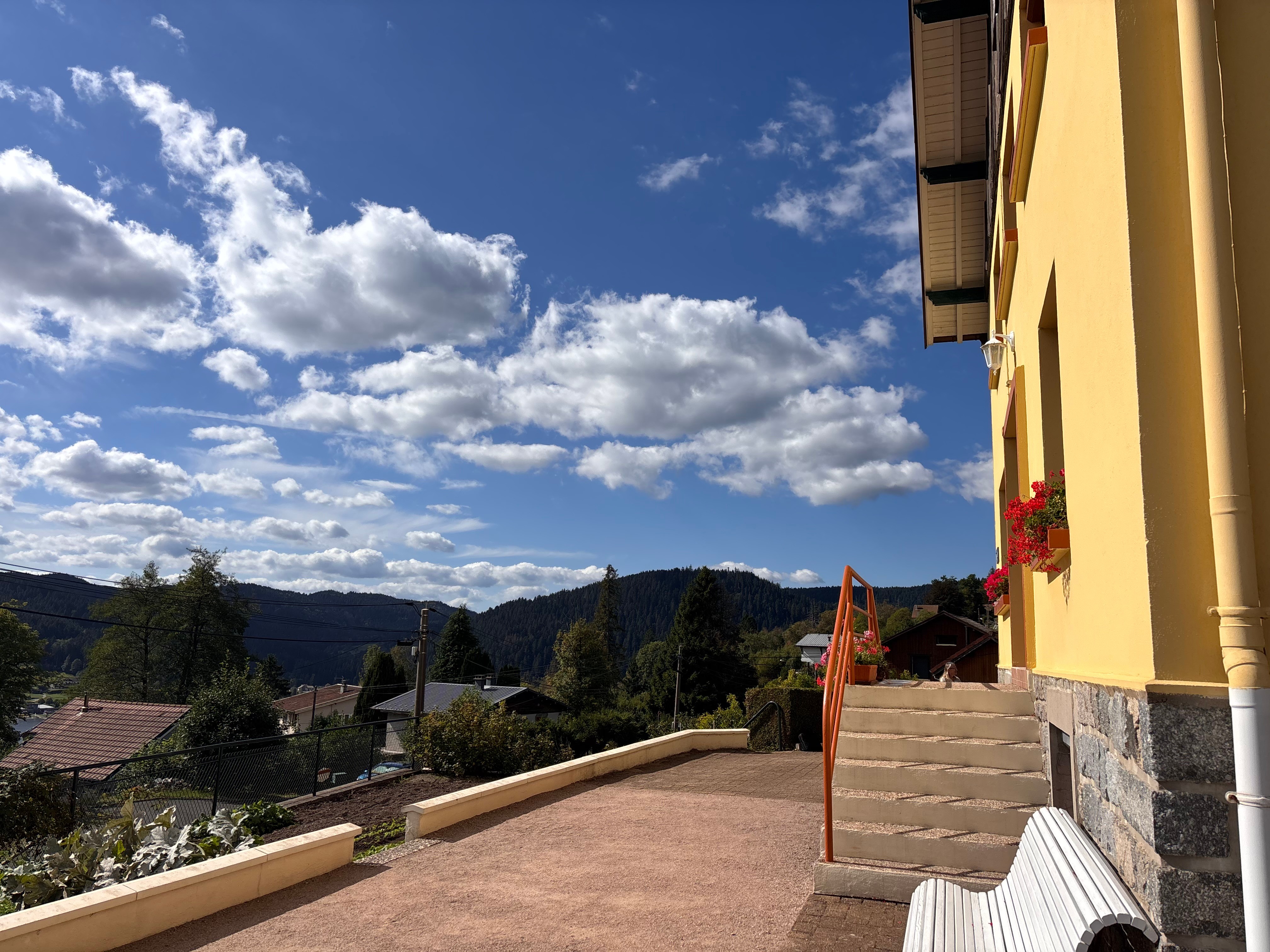 View  - Villa Amonidée - Gérardmer