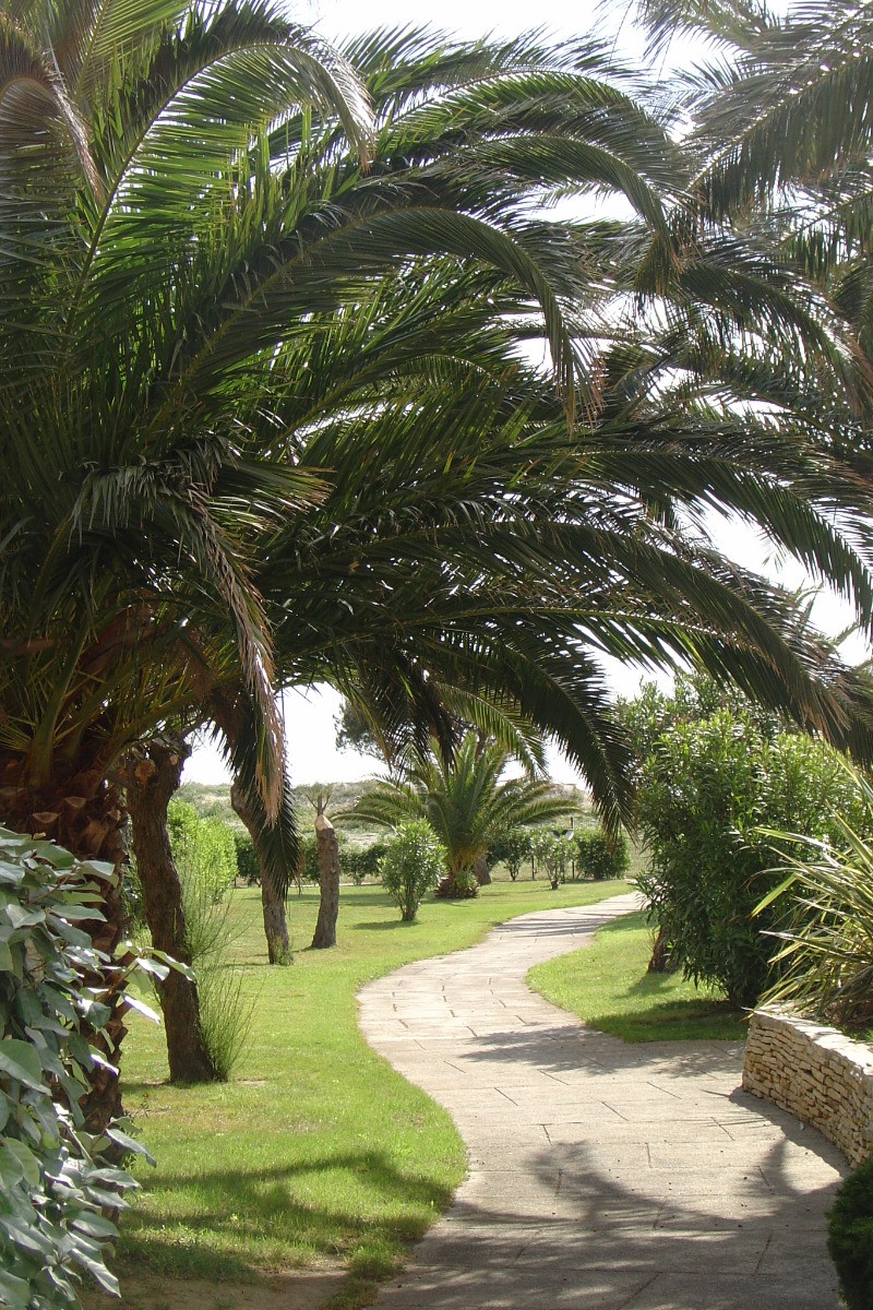 Parc de la résidence