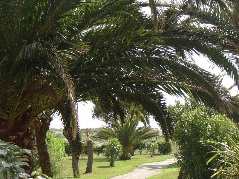 Parc de la résidence