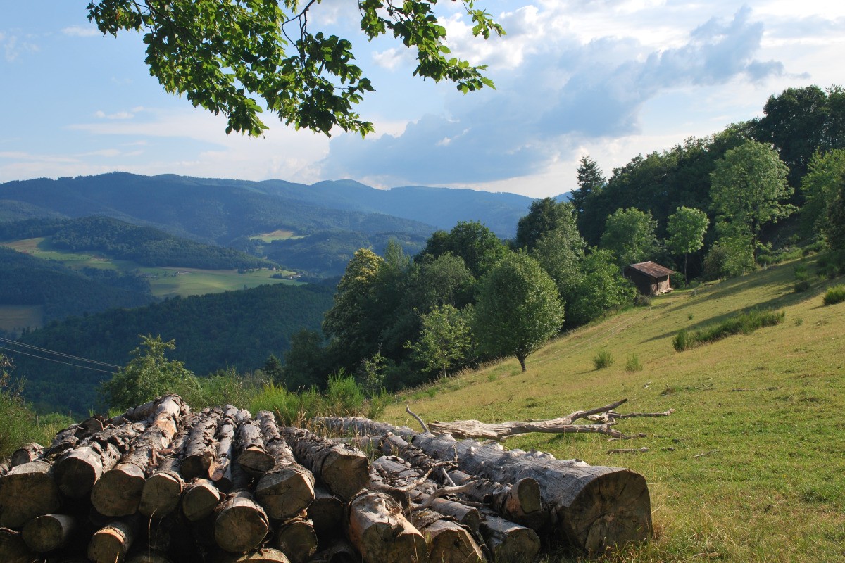Vue depuis la Chambrette. Randonnée