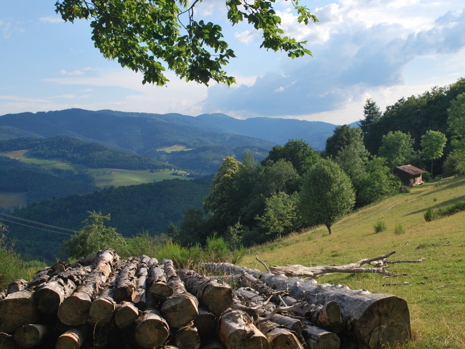 Vue depuis la Chambrette. Randonnée